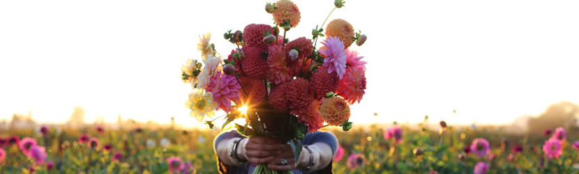 Cashback Regalar Flores
