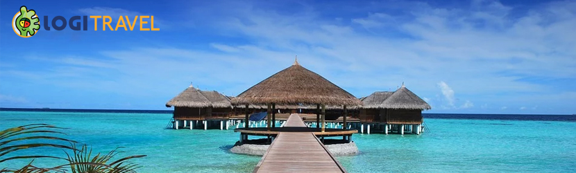 Cashback Logitravel